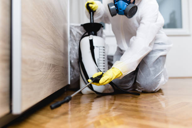 Wasp Removal Services in Odell, OR
