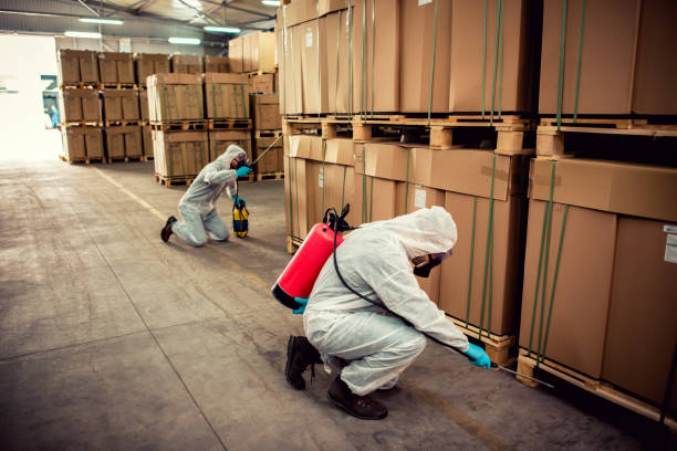Best Termite Control Services  in Odell, OR
