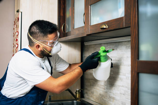 Best Wasp Removal Services  in Odell, OR