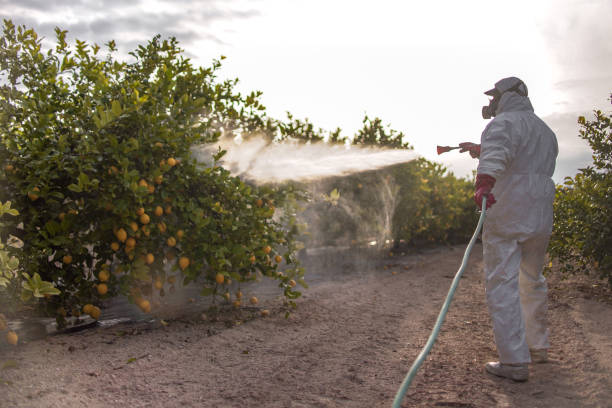 Pest Control for Restaurants in Odell, OR