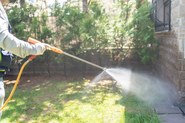 Best Local Pest Control Services  in Odell, OR