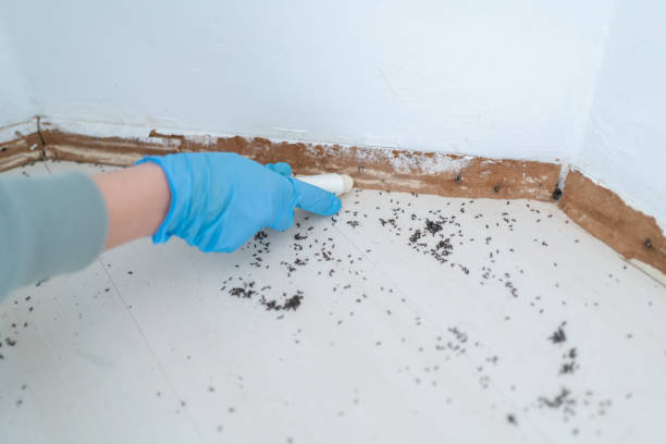 Best Best Pest Control Companies  in Odell, OR
