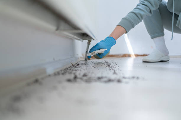 Best Commercial Pest Control Services  in Odell, OR