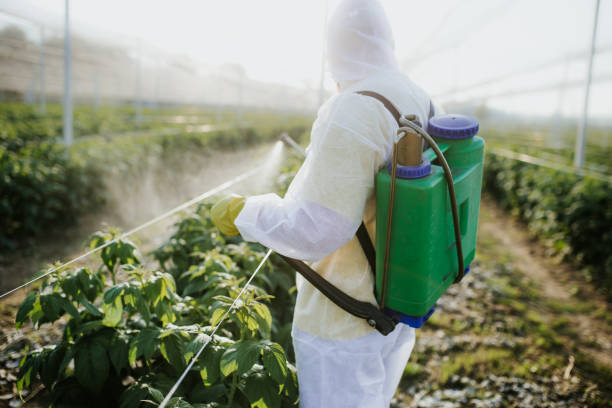 Best Flea Control Services  in Odell, OR